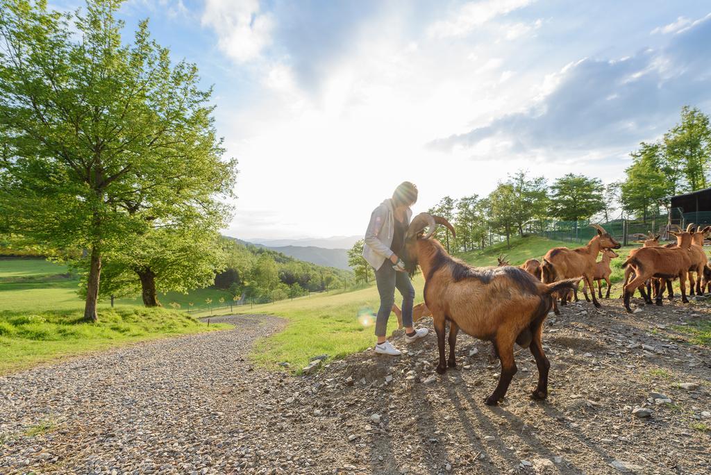 Agriturismo Casapasserini Londa Bagian luar foto